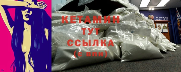 шишки Гвардейск