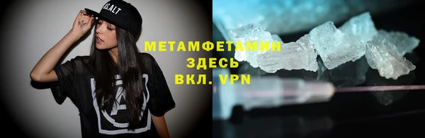 шишки Гвардейск