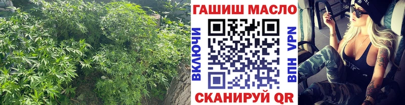 kraken ONION  Солигалич  Дистиллят ТГК гашишное масло 
